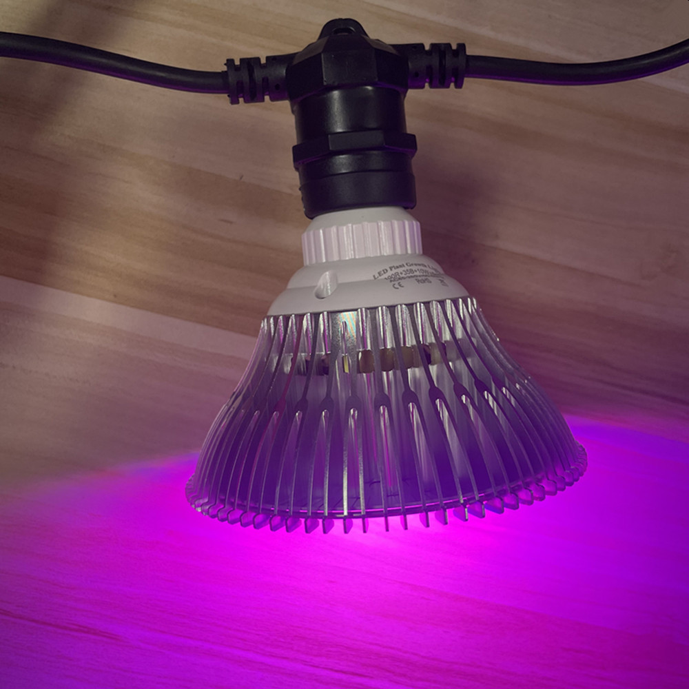 سلسلة إضاءة LED بطول 10 أمتار، - مراجعة Outdoor Lighting For Backyard وسعره